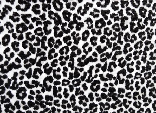 Animal print Images - Search Images on Everypixel