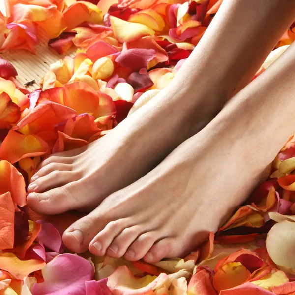 Spa composition of legs and petals