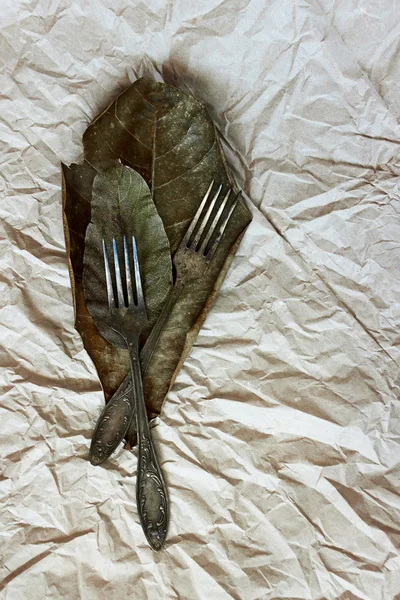 Vintage cutlery on a paper background with old dried-up leaves