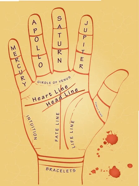 Illustration of palmistry map on open palm on abstract