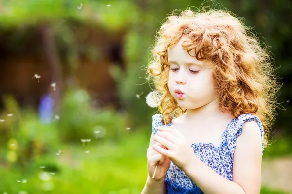 Beautiful little curly girl blowing dandelion, horizontal shot