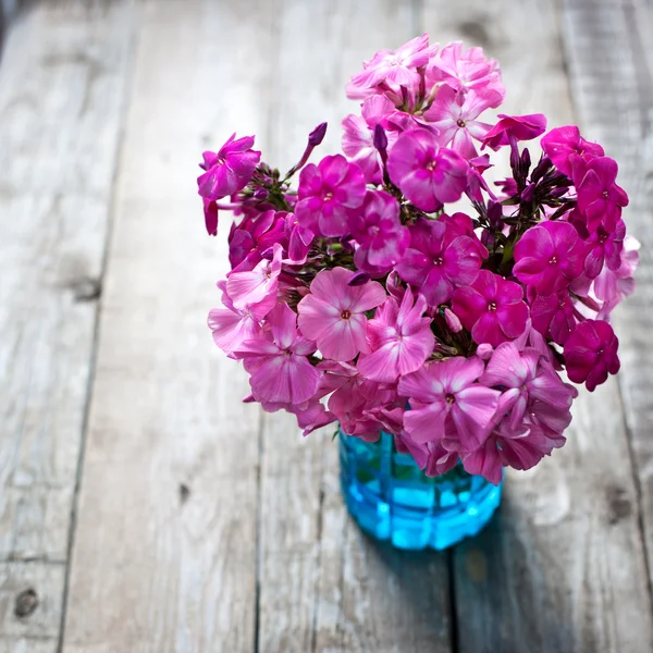 Pink flowers — Stock Photo #30938161