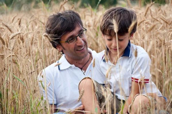 Father playing with his son in a wheat field