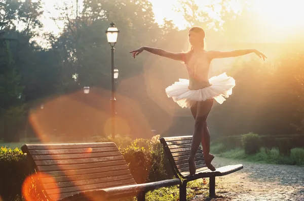 Young beautiful ballerina dancing outdoors in a park. Ballerina project