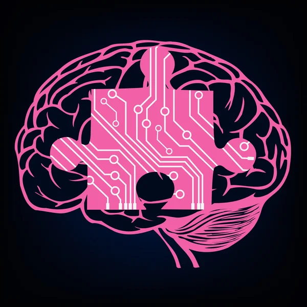 Model of human brain