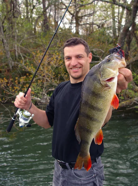 Fishing scene. Perch