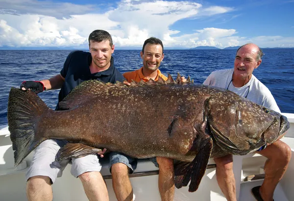 Giant grouper