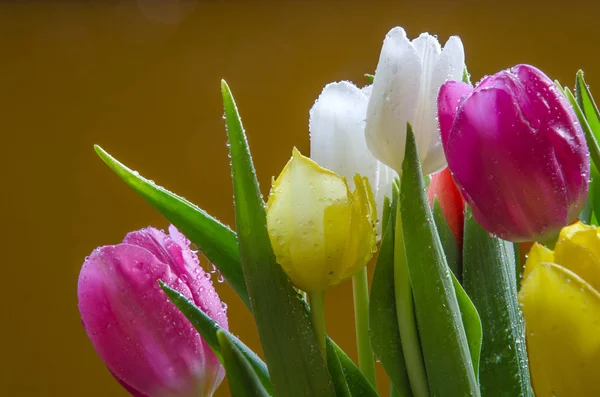 Detail of tulips bouquet