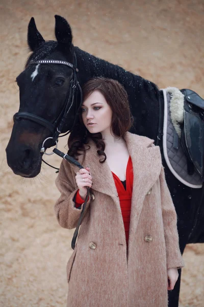 Lovely and beautiful girl of the European appearance brunette with brown horse in winter nature with accessories. Fashion and beauty. Animal and natural.