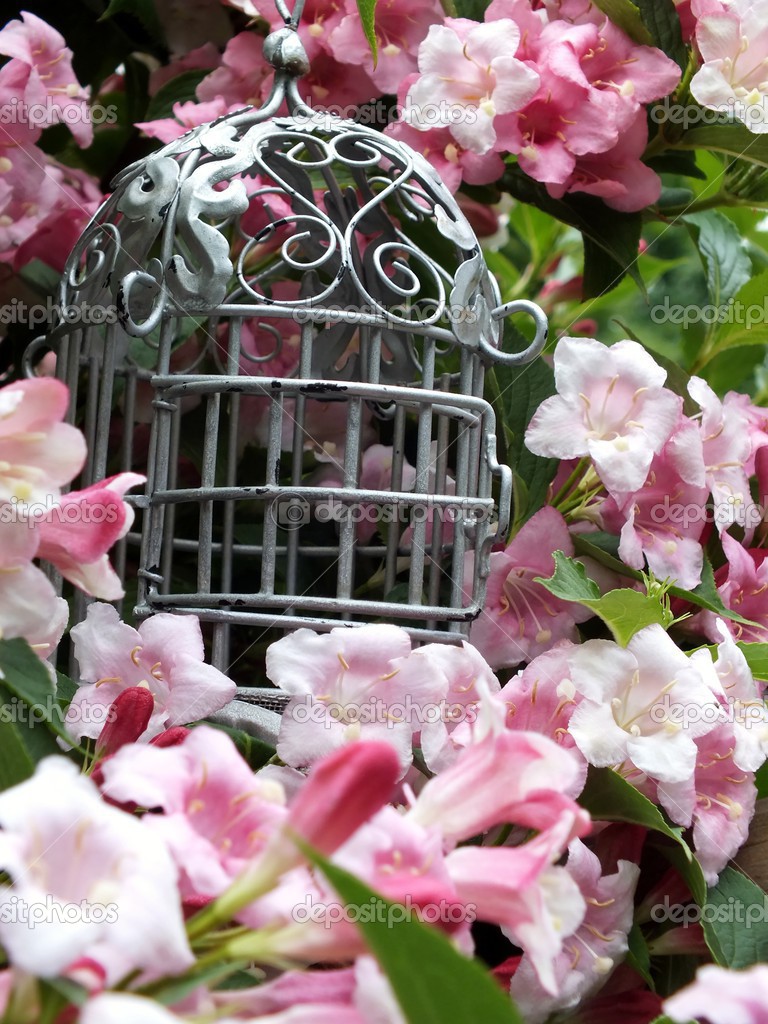Fiori estivi con shabby chic oggetti — foto stock © elm98 #26999219