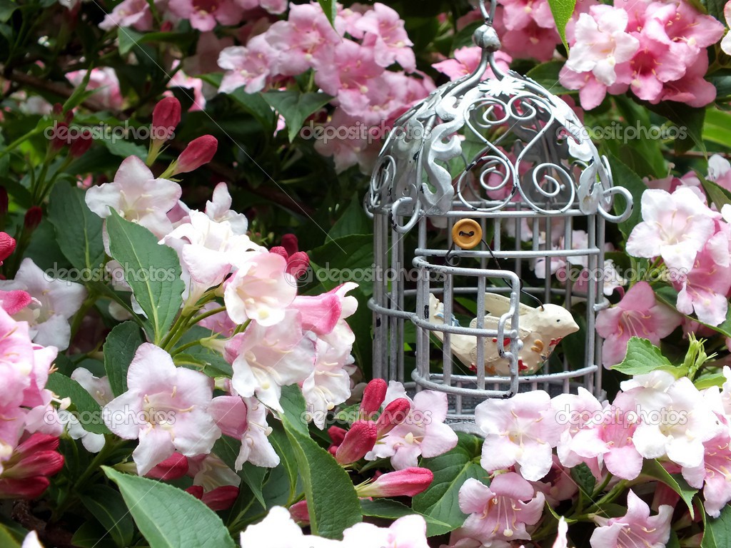 Fiori estivi con shabby chic oggetti — foto stock © elm98 #26999235