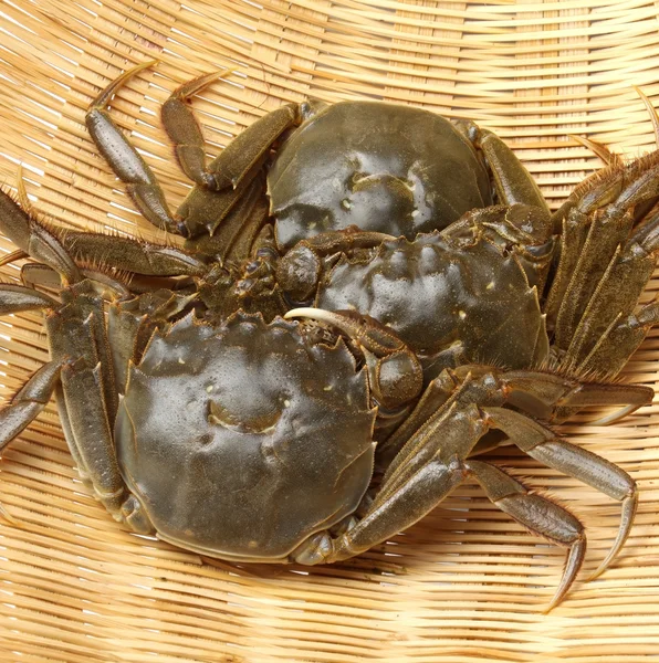 Fresh crabs