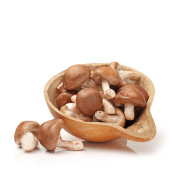 Fresh shiitake mushrooms - Free Stock Image