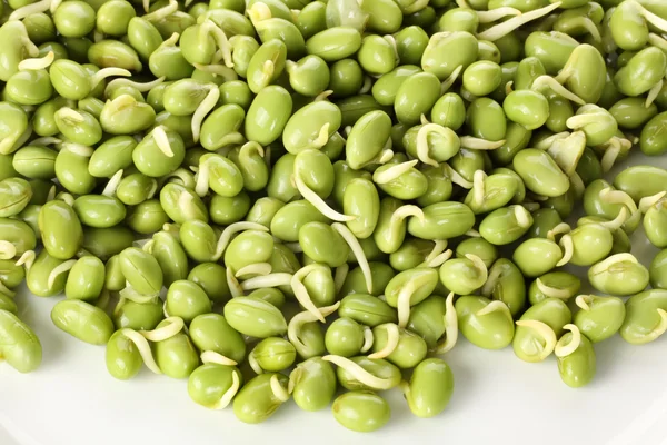 Lima beans