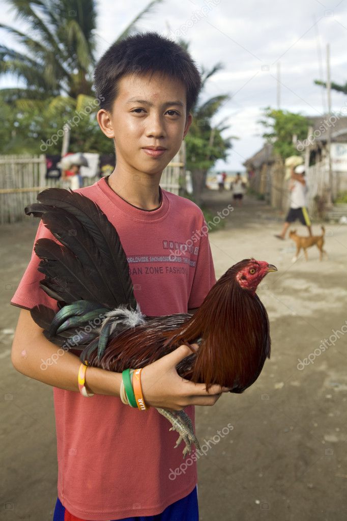 depositphotos_17472323-Filipino-Boy-Holding-His-Fighting-Cock.jpg