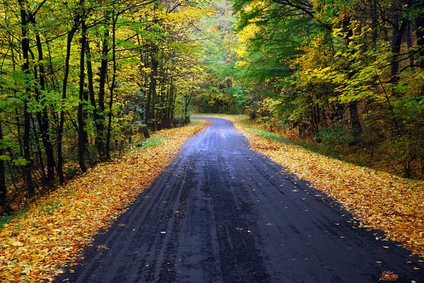 autumn road — Stock Photo #30762819