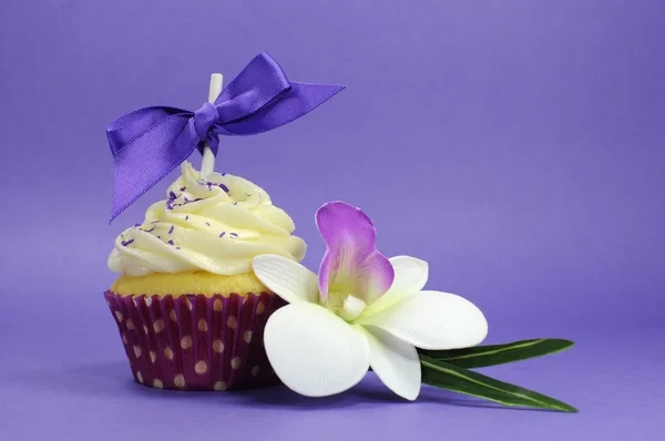 Beautiful decorated and colorful cupcake, one for each day of the week.