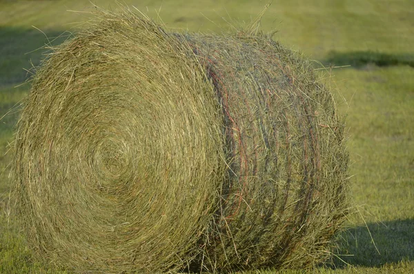 Round hay bale on a rural Michigan farm