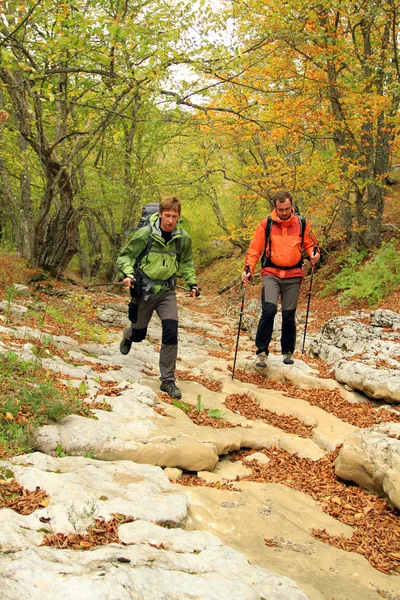 Autumn hiking in the mountains.