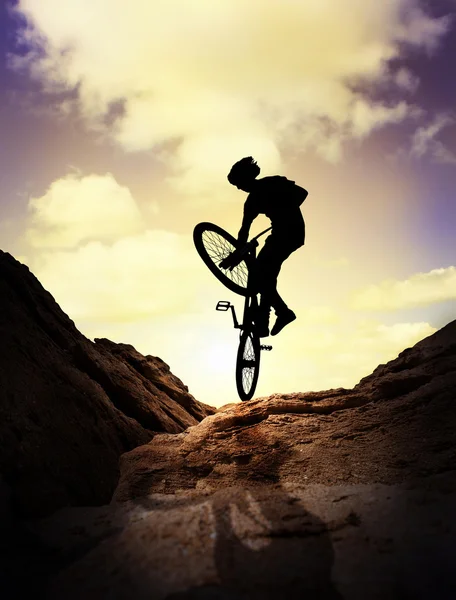 Extreme mountain bike