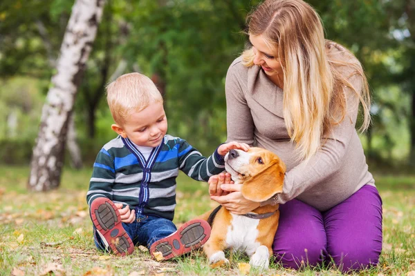 Pregnant mother with her little son and pet on walk