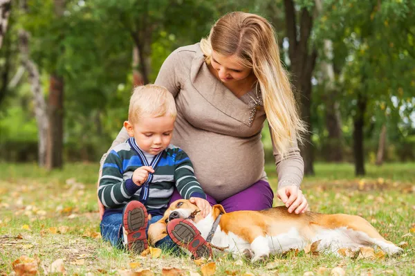 Pregnant mother with little son playing with pet in park