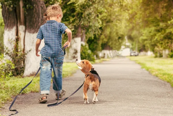 Boy walk with puppy