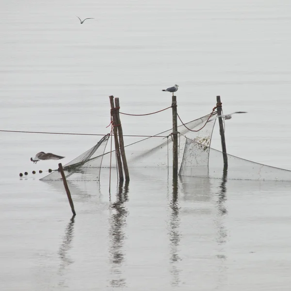 Pole fishing net