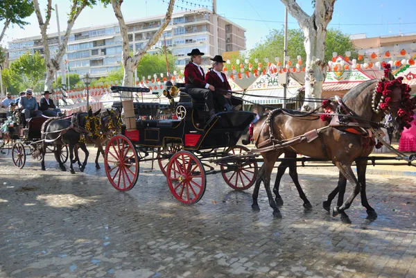 Horse cars at the fair in Seville
