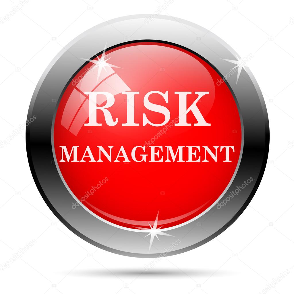 Risk management icon — Stock Photo © valentint #47533113