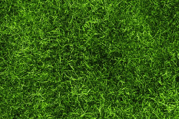 Grass texture