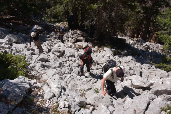 Group mountaineers hiking to the top of the mountain