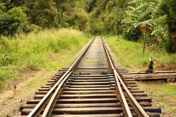Rail tracks in jungle
