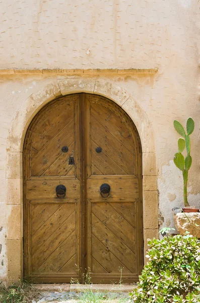 Wooden old style door. Entrance in ancient house and cactus