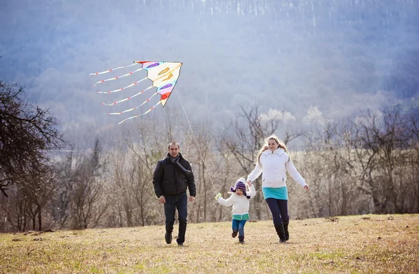 Family having fun with kite