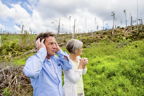 Senior couple at destroyed forest