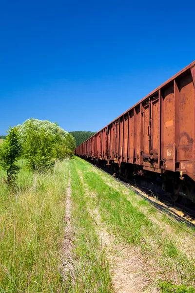Old Rusty Cargo Train Deposit
