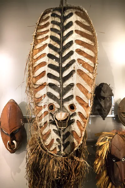 Primitive tribal shield and masks at museum of anthropology