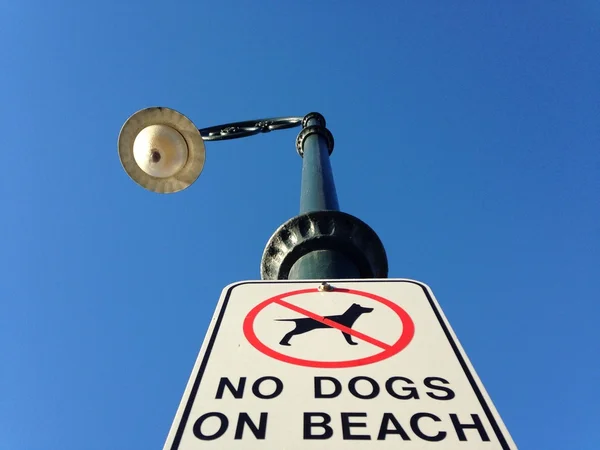 No dogs on beach sign on the light stand