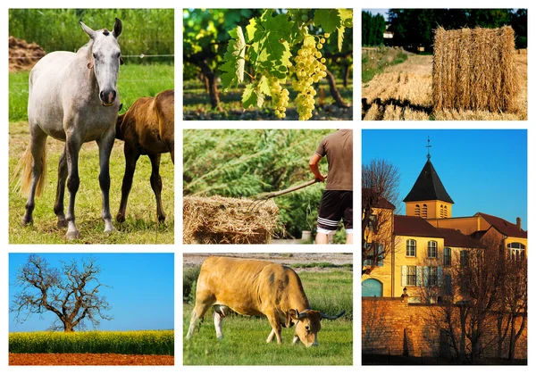 Collage of french countryside landscape