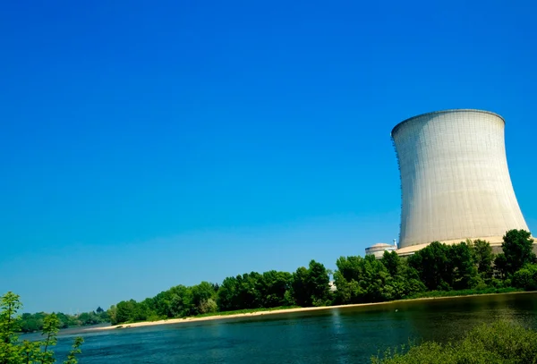 Nuclear reactor power plant