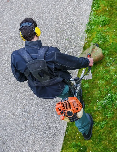 Gardener using corded string trimmer in a park