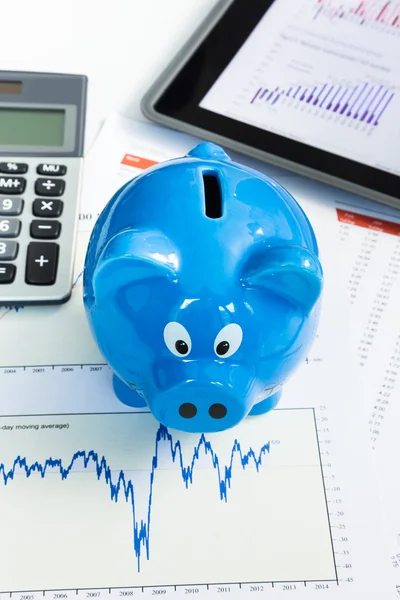 Piggy bank and financial chart for financial health check concep