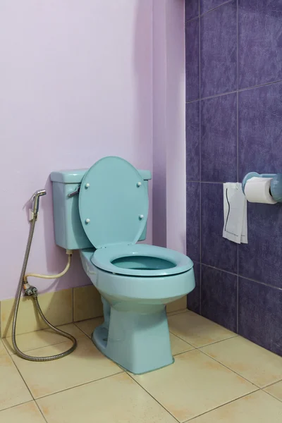 Aqua blue toilet bowl in purple room