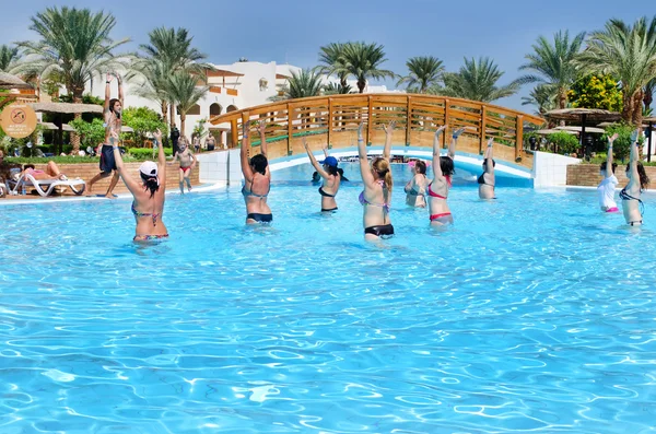 Group of people doing exercises in the pool