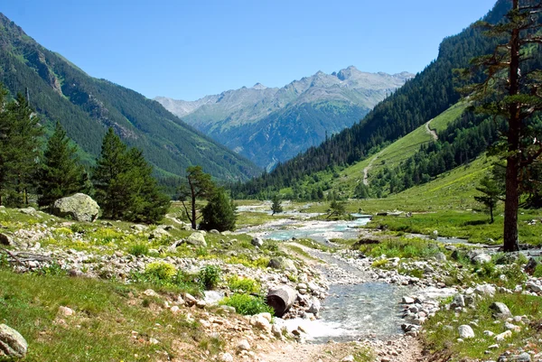 Caucasus mountains, river