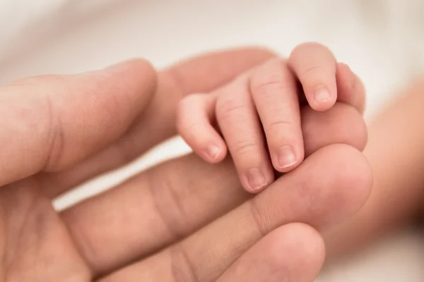 Newborns small hand holds fingers of his loving parent