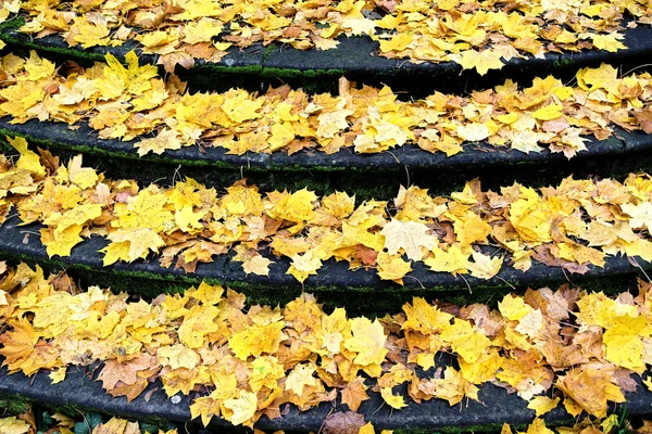 Autumn time with fallen leaves on old stone staircase
