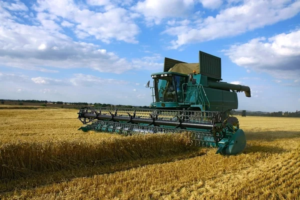 Harvest machine working on the field