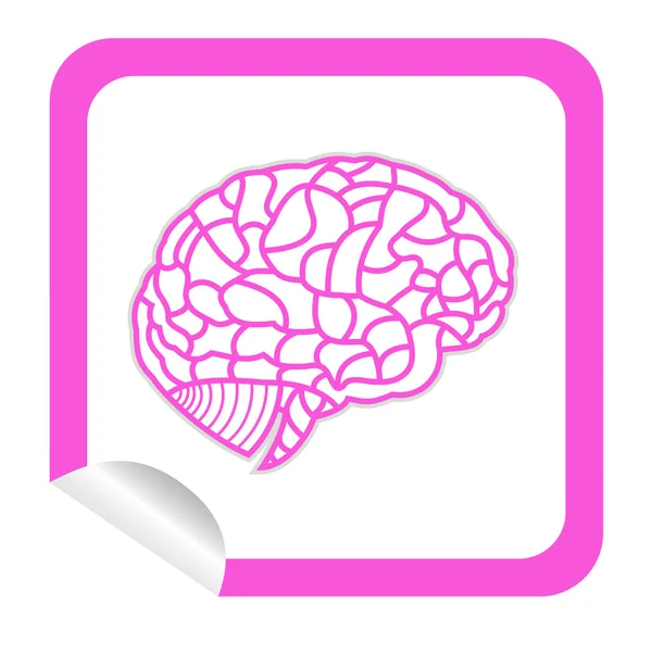 Brain model on sticker icon web button. EPS10 illustration